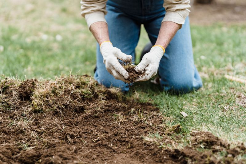 Aerate Compacted Soil Ahead Of Fall Aerate Compacted Soil Ahead Of Fall