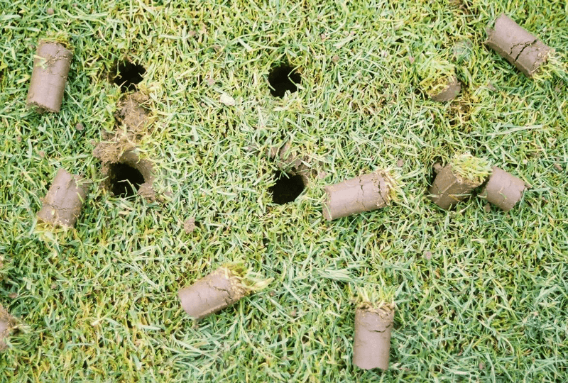 Aerate Soil To Improve Root Growth Aerate Soil To Improve Root Growth