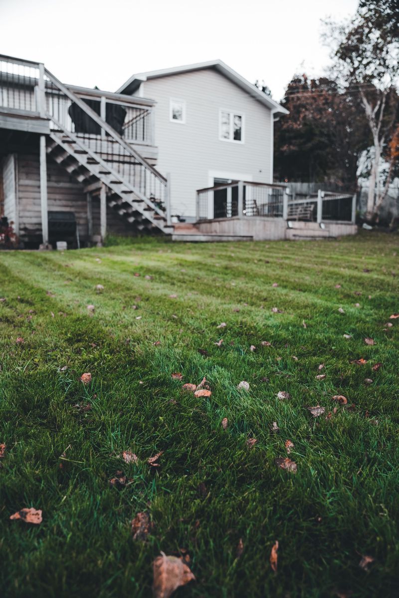 Aerate The Lawn To Improve Airflow Aerate The Lawn To Improve Airflow