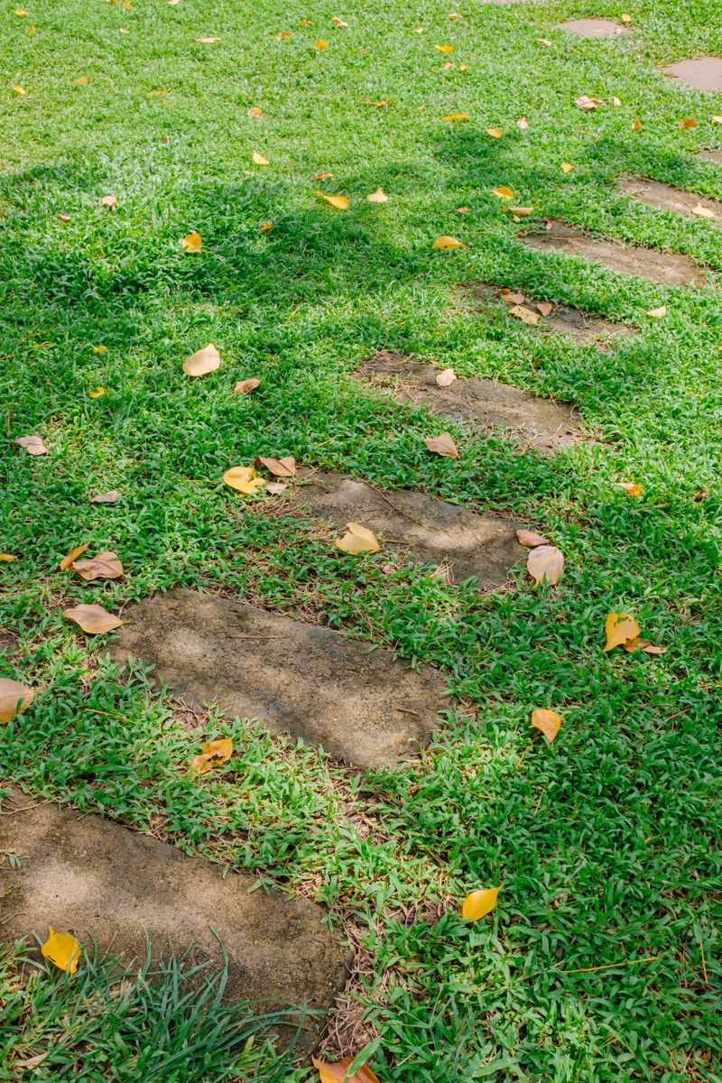 Aerate The Lawn To Loosen Hardened Soil