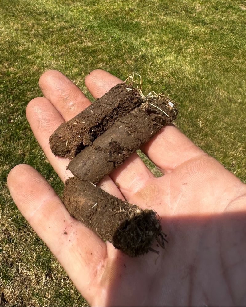 Aeration And What It Changes Underground