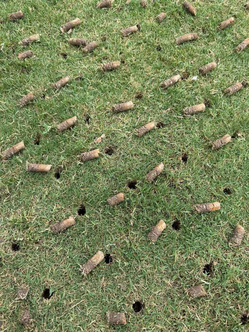 Aeration Becomes Necessary To Reverse The Damage Done Aeration Becomes Necessary To Reverse The Damage Done