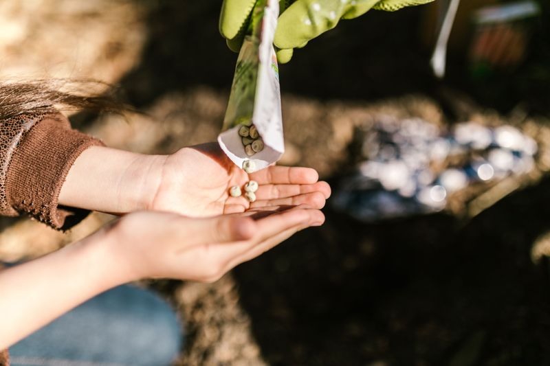 Affordable Seeds Make Planting Budget-Friendly Affordable Seeds Make Planting Budget-Friendly
