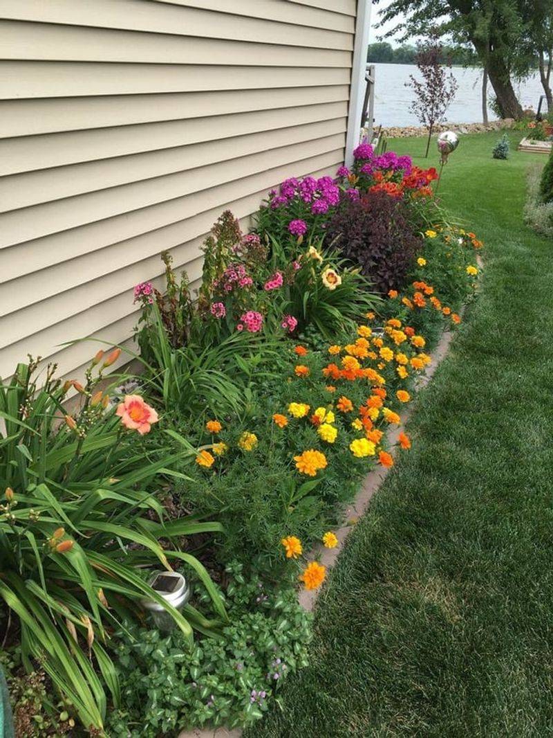 Air Circulation Fixes That Prevent Fungal Problems