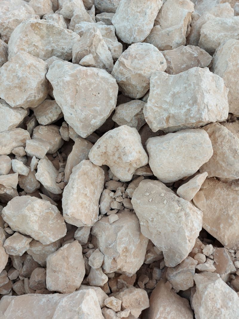 Alkaline pH From Limestone Limits Nutrient Uptake Alkaline pH From Limestone Limits Nutrient Uptake