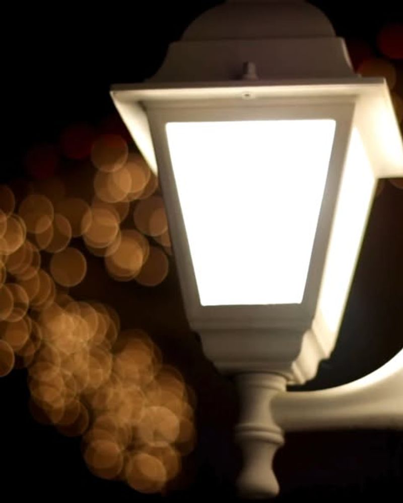 Amber Bulbs Attract Fewer Flying Insects Amber Bulbs Attract Fewer Flying Insects