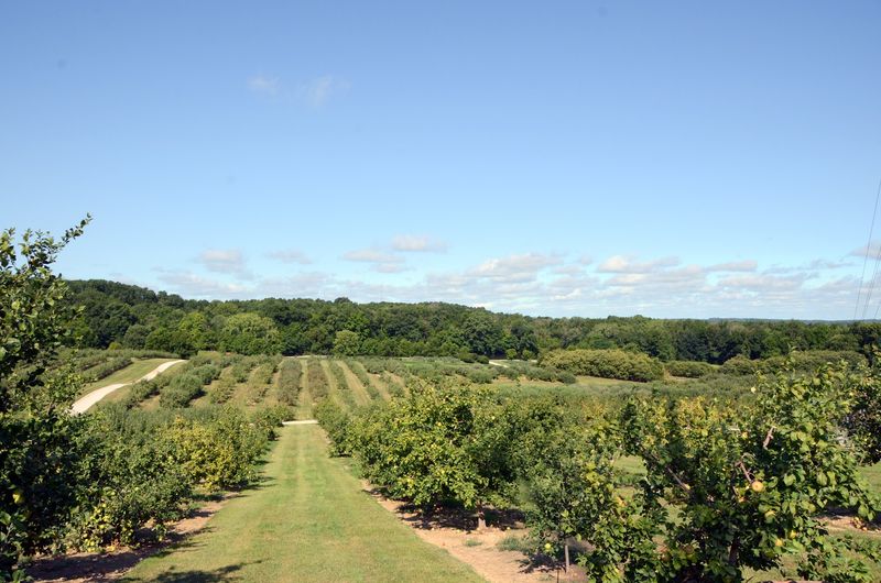 Anderson Orchard, Mooresville