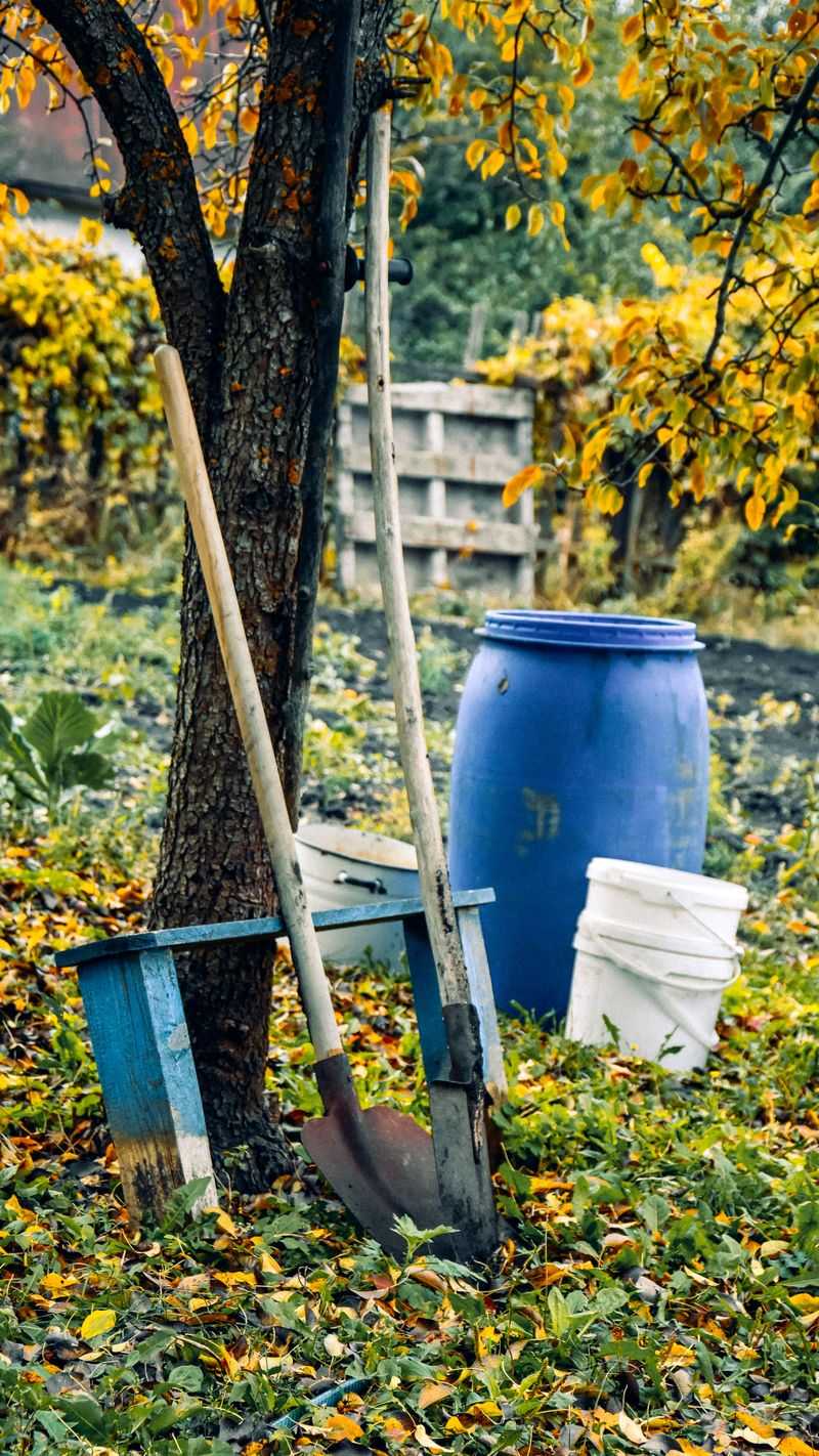 Apply A Balanced Fertilizer For Recovery Apply A Balanced Fertilizer For Recovery