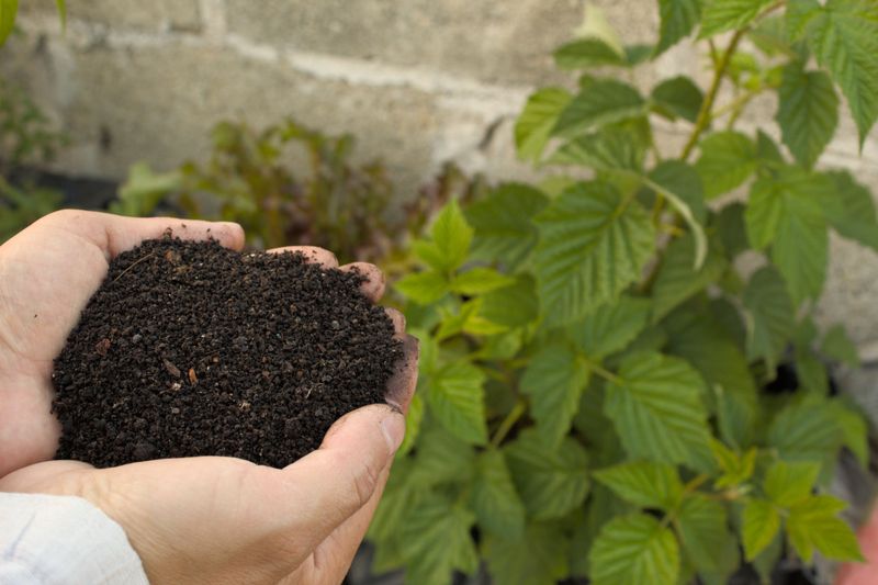 Apply Fresh Compost Apply Fresh Compost
