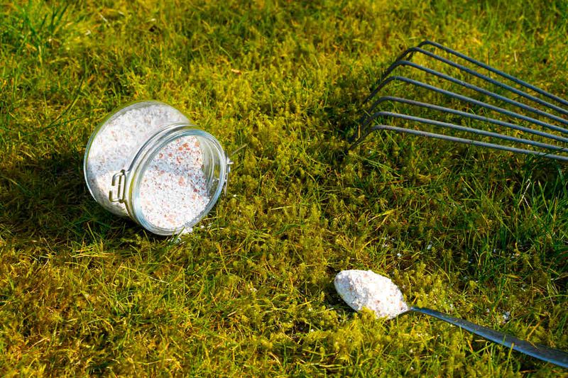 Apply Light Fertilizer For Fall Reserves Apply Light Fertilizer For Fall Reserves