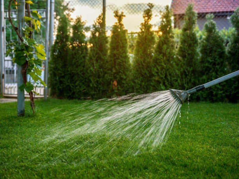 Apply The Right Fungicide Before Damage Spreads Apply The Right Fungicide Before Damage Spreads