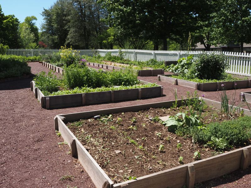 Around Vegetable Beds And Flower Patches