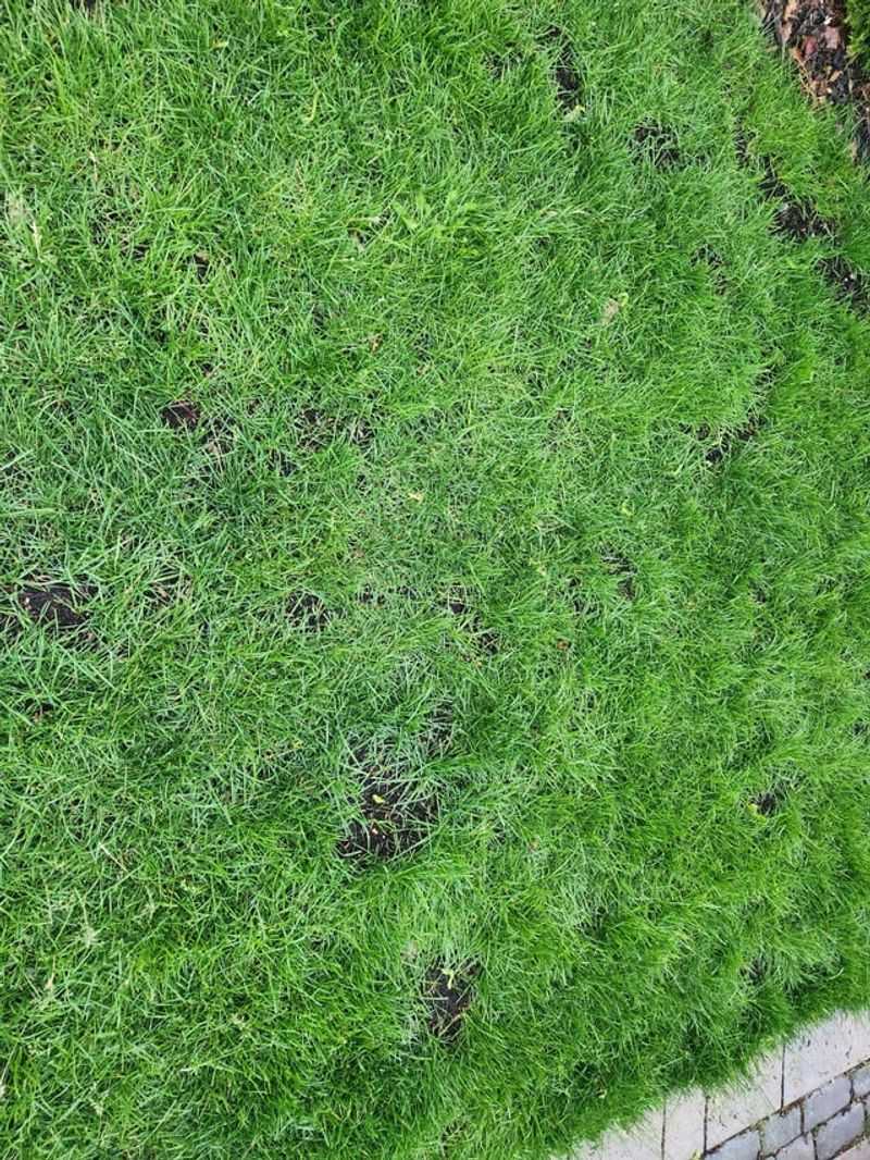 Augus Gives You Time Yo Decide If Winter Color Is Worth It Augus Gives You Time Yo Decide If Winter Color Is Worth It