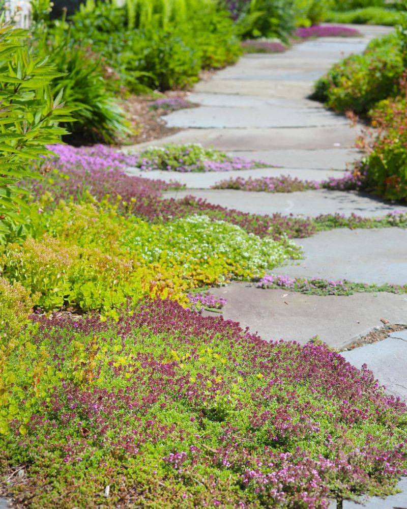 August Planting Requires Extra Establishment Care August Planting Requires Extra Establishment Care