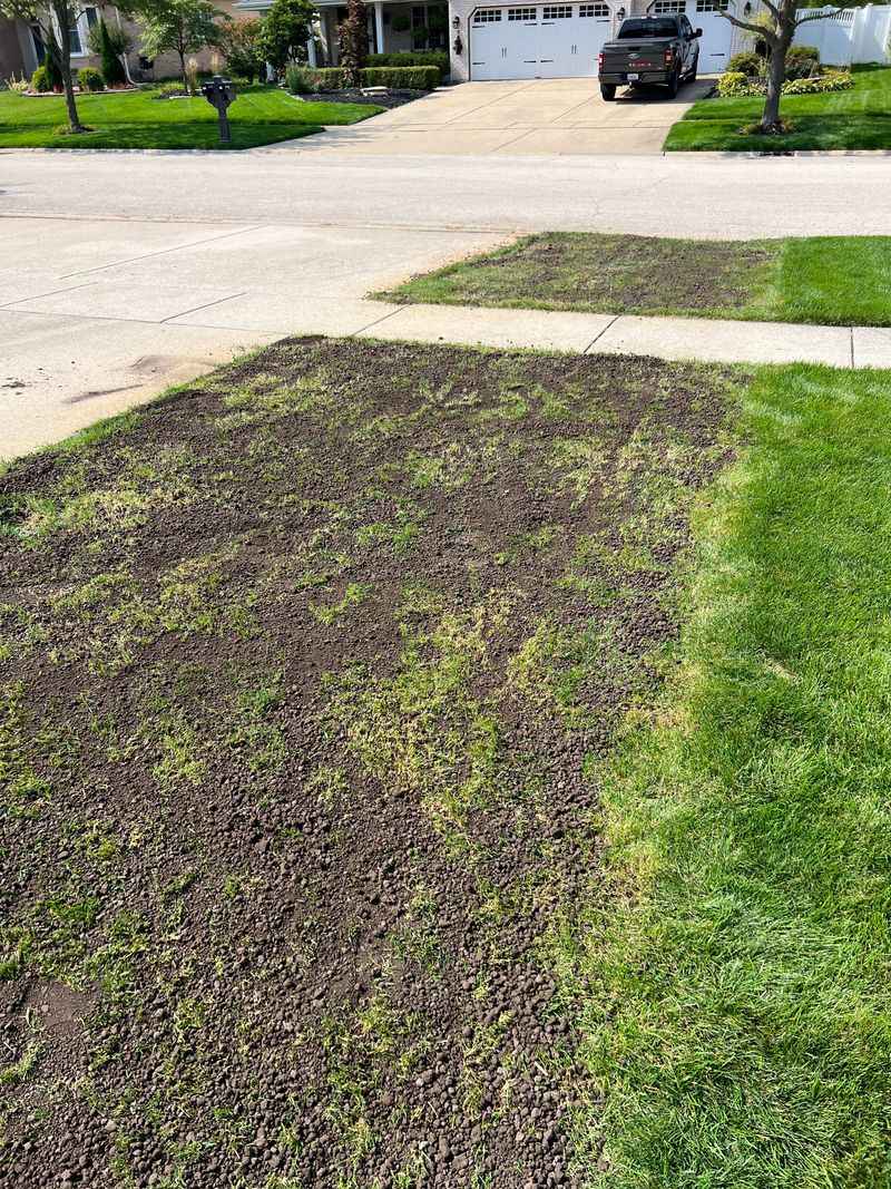 Avoid Burying The Grass Under Too Much Soil