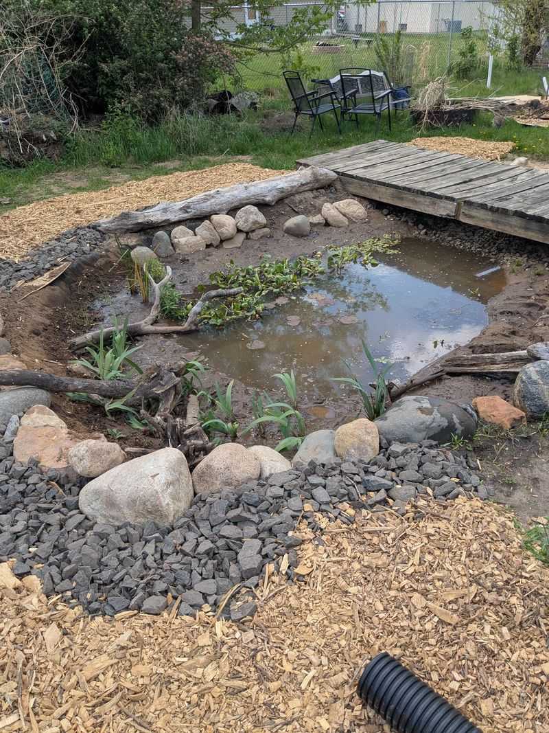 Avoid Letting Small Ponds Dry Out Completely