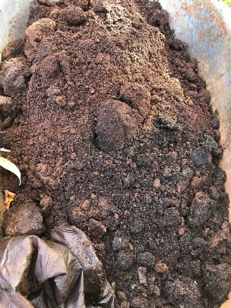 Avoid Thick Coffee Mats Around Plants