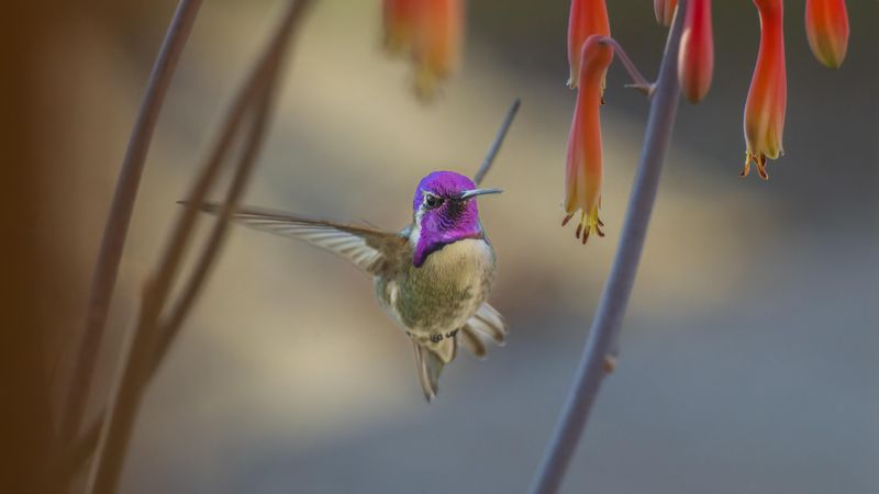 Avoiding Pesticides Helps Protect Their Food Supply