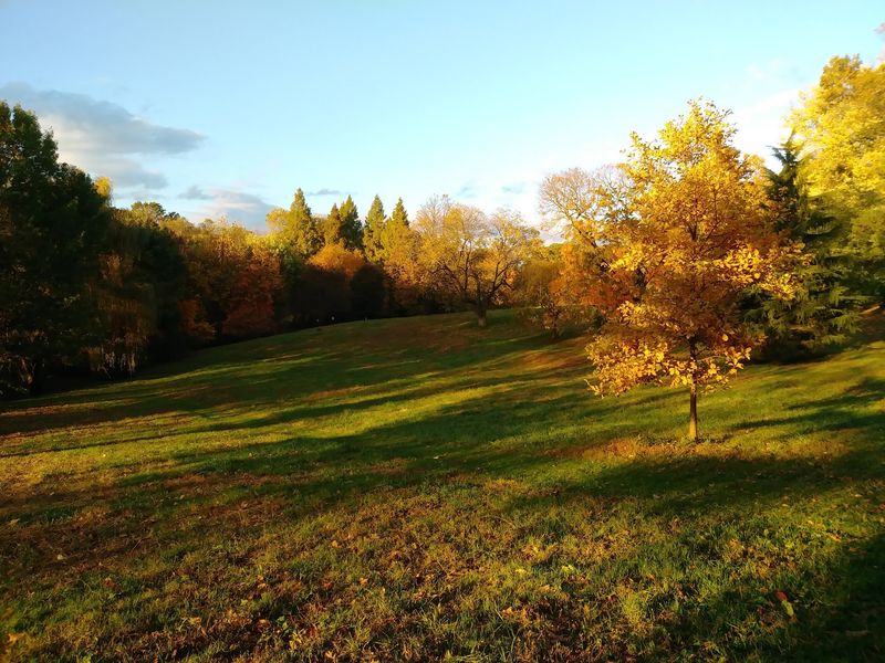Awbury Arboretum Awbury Arboretum