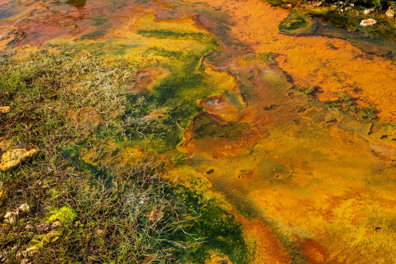 Bacteria Thrive In Warm, Unmoving Water
