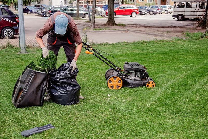 Bagging Clippings That Could Feed The Lawn