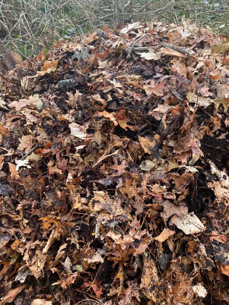 Balance Grounds With Carbon-Rich Materials Like Leaves