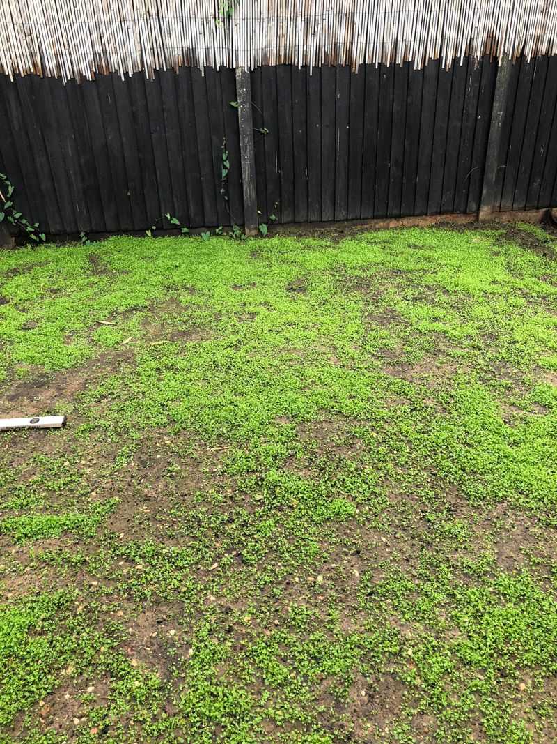 Bare Patches Turn Into Easy Landing Spots Bare Patches Turn Into Easy Landing Spots