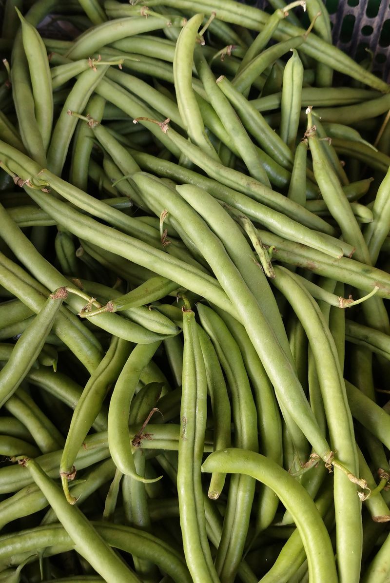 Beans Beans