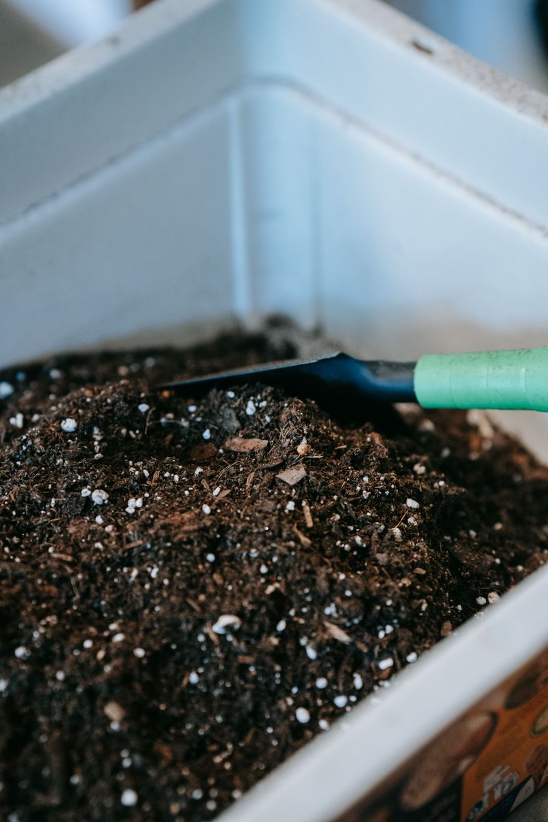 Benefits Of Crab Shell Compost For Garden Soil And Plants Benefits Of Crab Shell Compost For Garden Soil And Plants