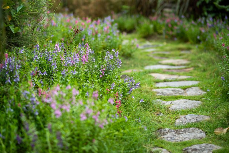 Benefits Of Ditching The Traditional Lawn