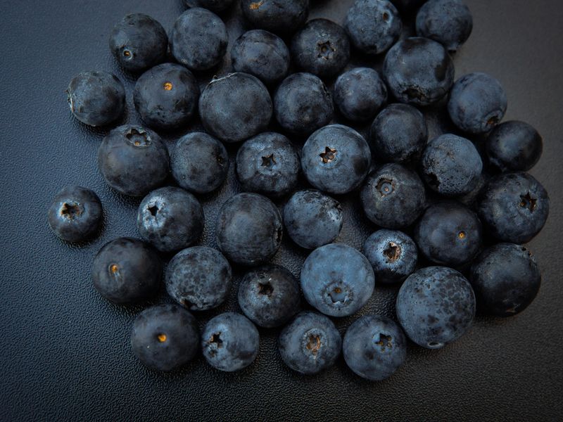 Berries And Wildlife Benefits Boxwood Can't Match Berries And Wildlife Benefits Boxwood Can't Match