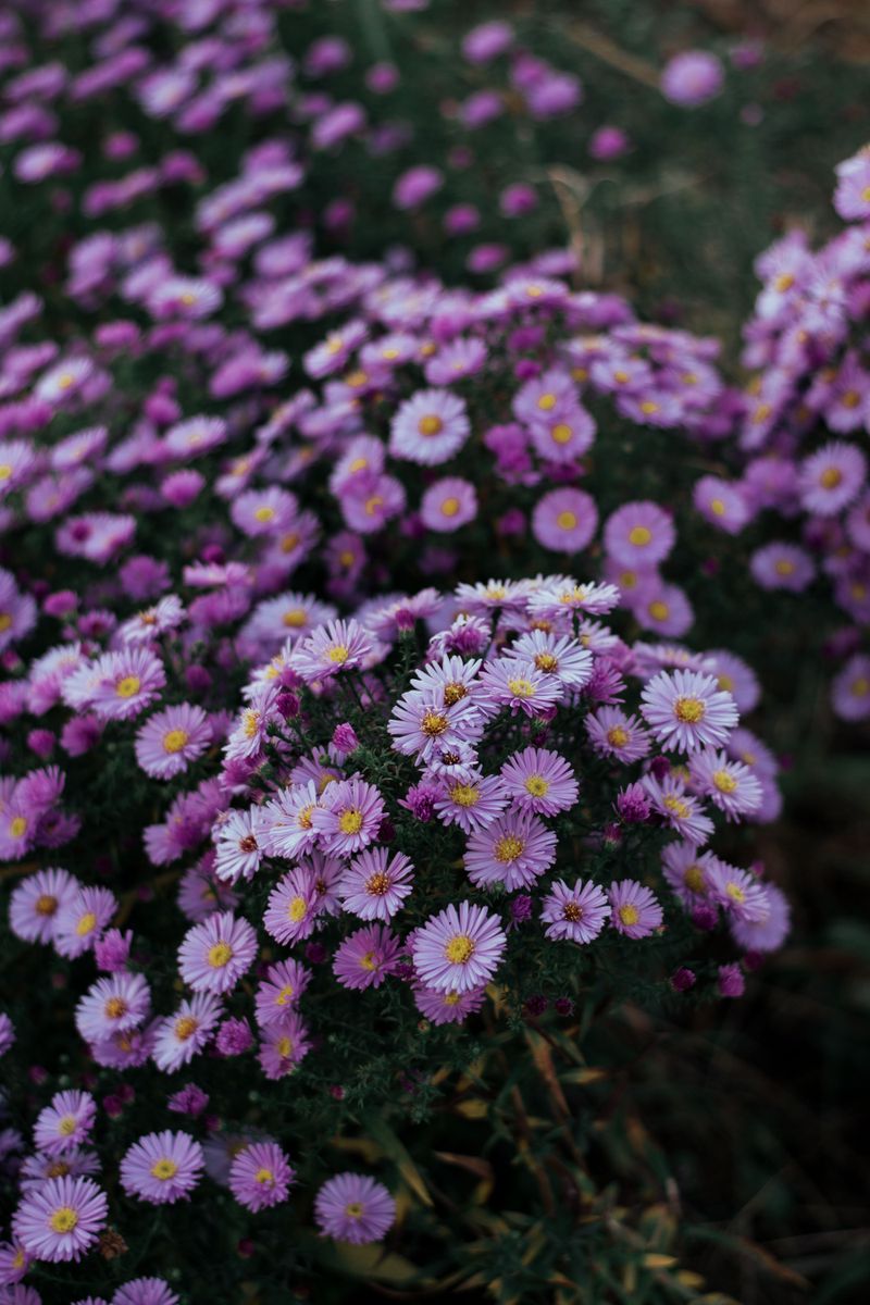 Best Conditions For Planting In Wisconsin Best Conditions For Planting In Wisconsin