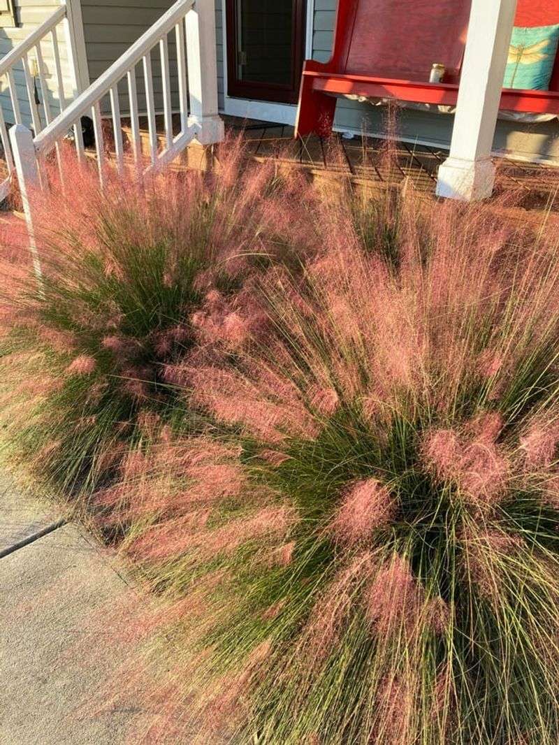 Best Planting Spots Around Patios And Walkways