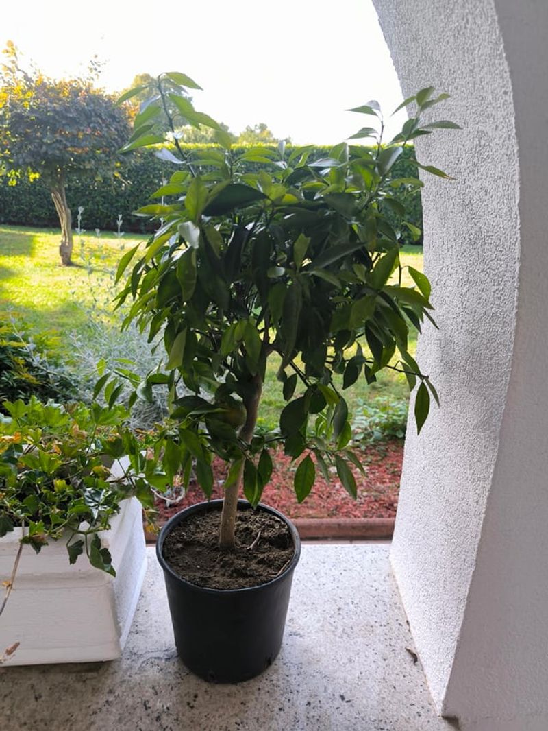 Black Pots Heat Up More Than You Think Black Pots Heat Up More Than You Think
