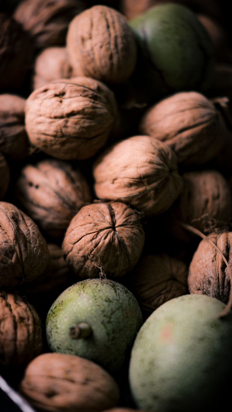 Black Walnuts Black Walnuts