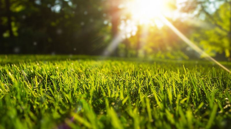 Blame Warmth Plus Lingering Moisture