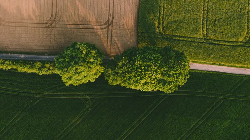 Boundary Trees And Why Shared Ownership Changes The Rules Boundary Trees And Why Shared Ownership Changes The Rules