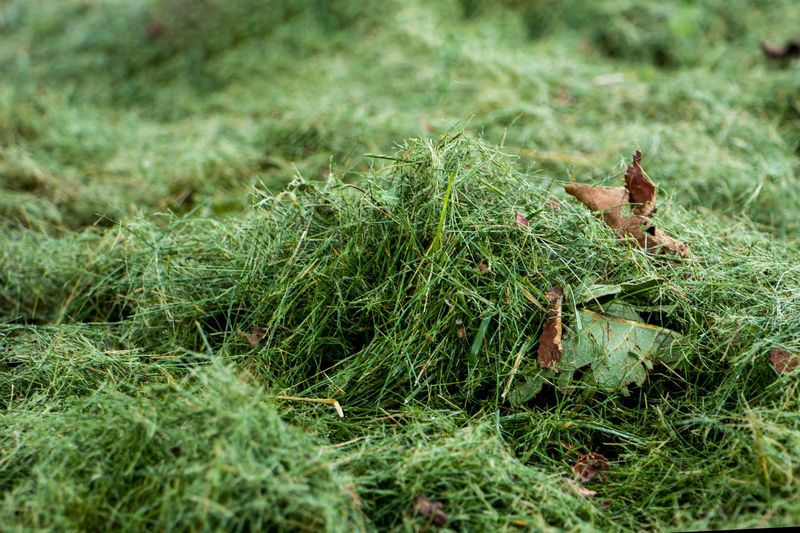 Break Up Grass Clumps