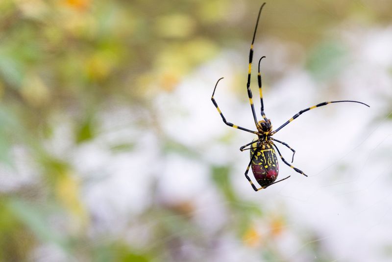 Breaking The Web Alone May Not Solve Much
