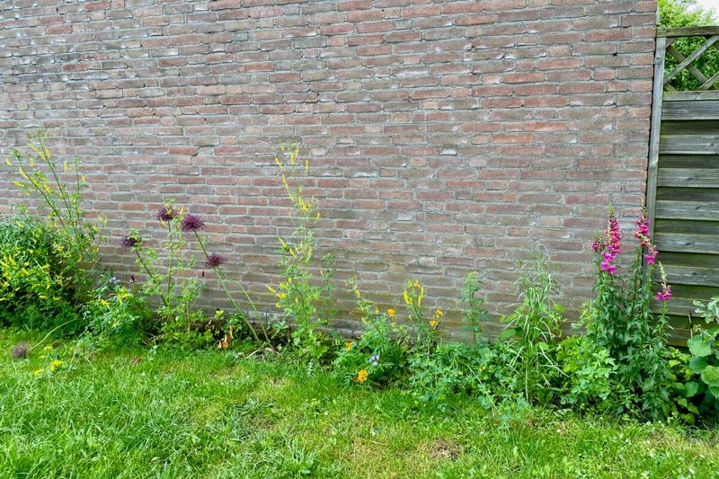 Brick Stores Heat And Steals Moisture
