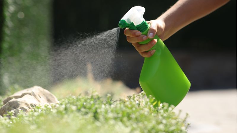 Broad Pesticides Disrupt The Whole Yard Broad Pesticides Disrupt The Whole Yard