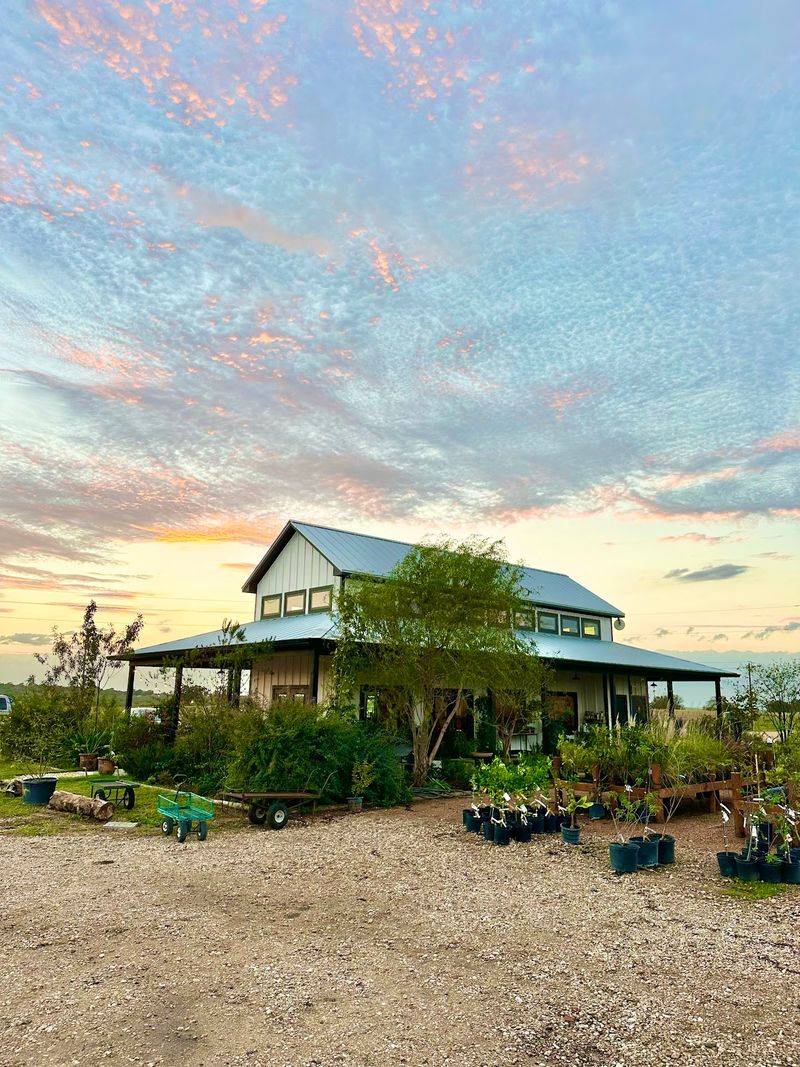 Browse Central Texas Choices At Trees Of Central Texas