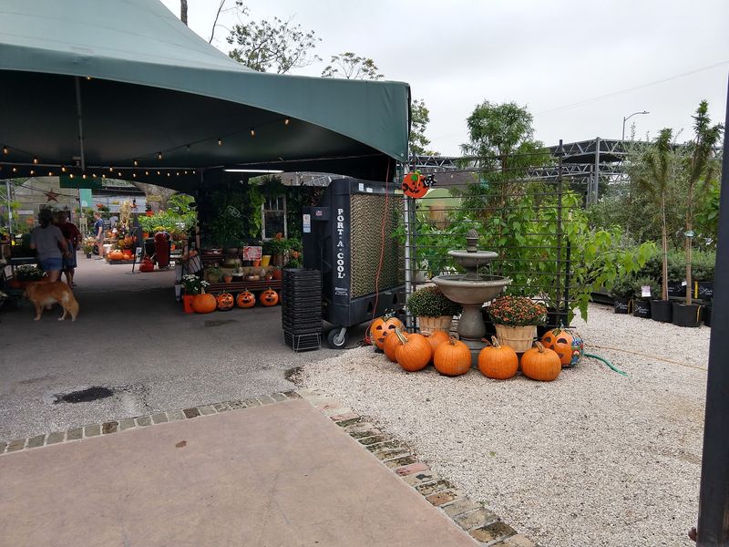 Buchanan's Native Plants - Houston