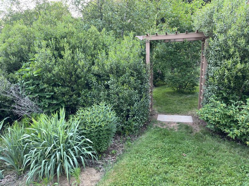 Build A Layered Edge Around The Shrub