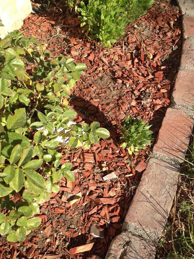 Build A Slight Slope To Stop Future Runoff Build A Slight Slope To Stop Future Runoff