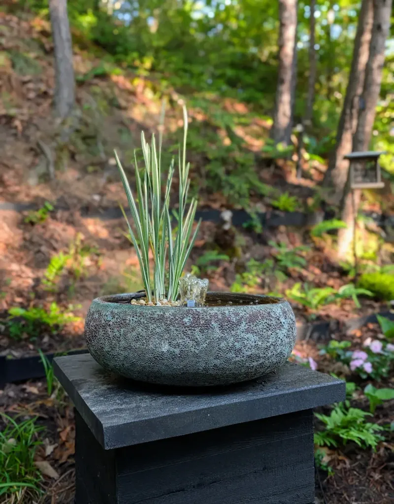 Build A Water Feature That Works Like Habitat