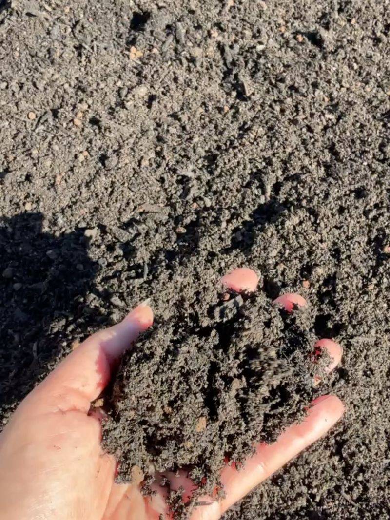 Build Better Soil First Build Better Soil First