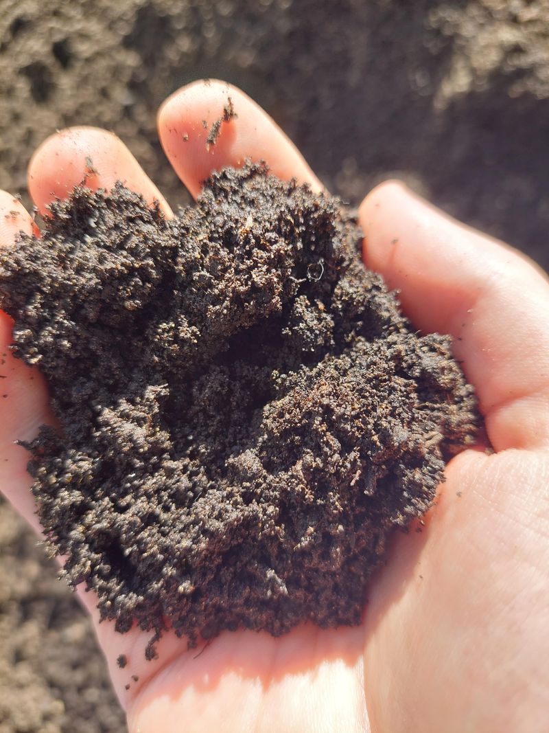 Build Better Soil Over Time