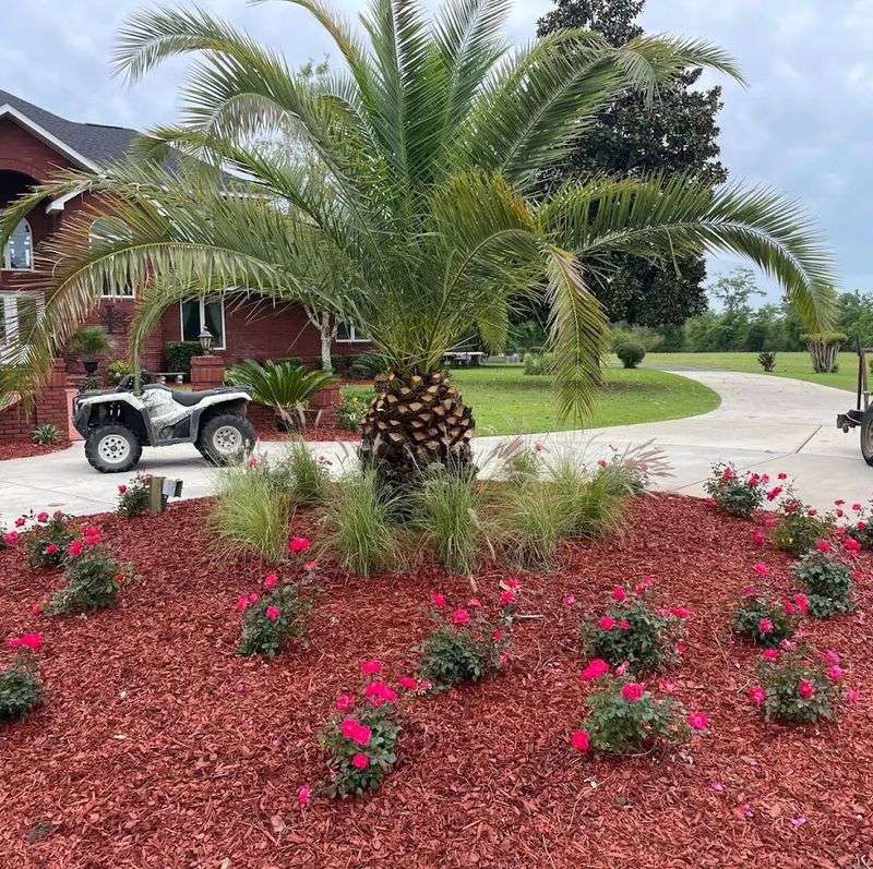 Build Mulched Islands Around Trees And Shrubs Build Mulched Islands Around Trees And Shrubs
