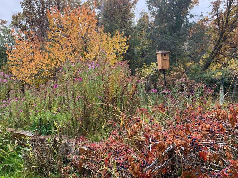 Build One Protected Fall Refuge Build One Protected Fall Refuge